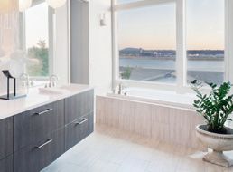 潔凈生活，其他消毒劑輔料